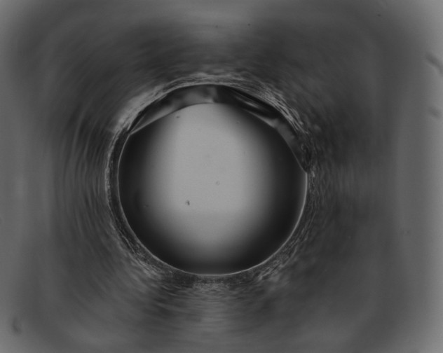 X0000091930340200709191404
