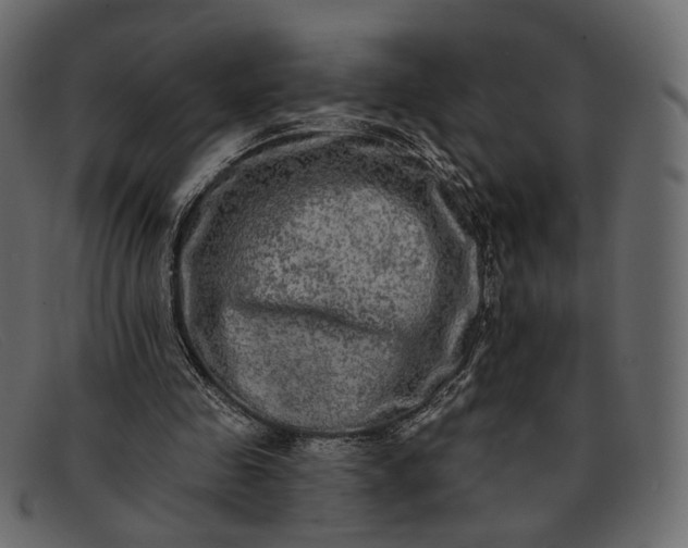 X0000091930341200709191404