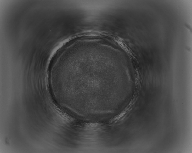 X0000091930342200709191404