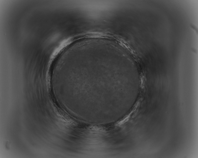 X0000091930343200709191404