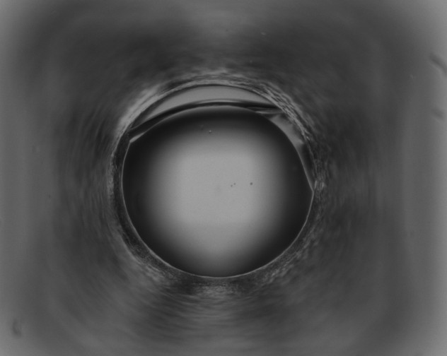 X0000091930344200709191404