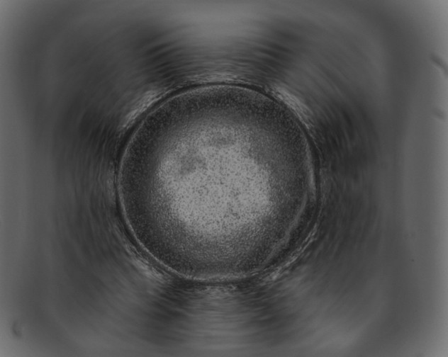 X0000091930345200709191404