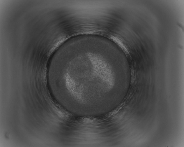 X0000091930346200709191404