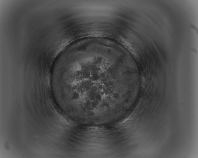 X0000091930347200709191404