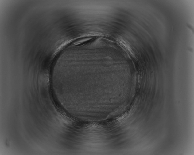 X0000091930348200709191404