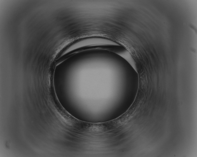 X0000091930350200709191404