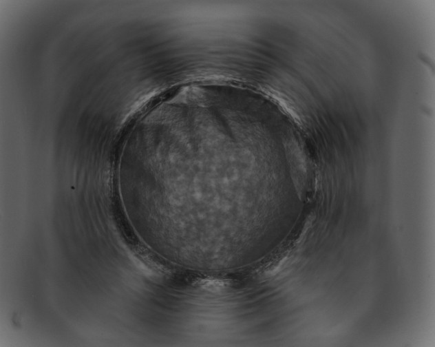 X0000091930352200709191404