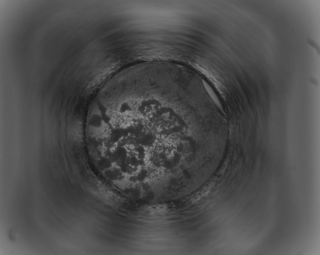 X0000091930353200709191404