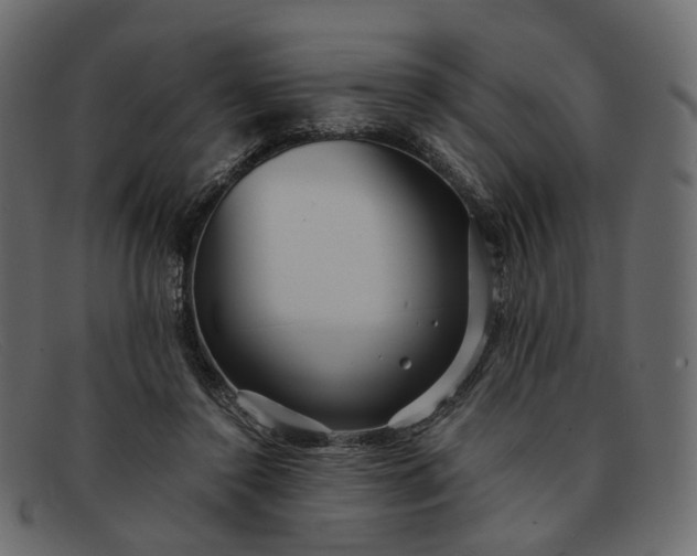 X0000091930356200709191404