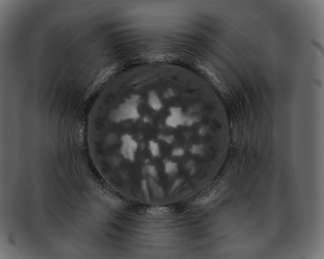X0000091930357200709191404