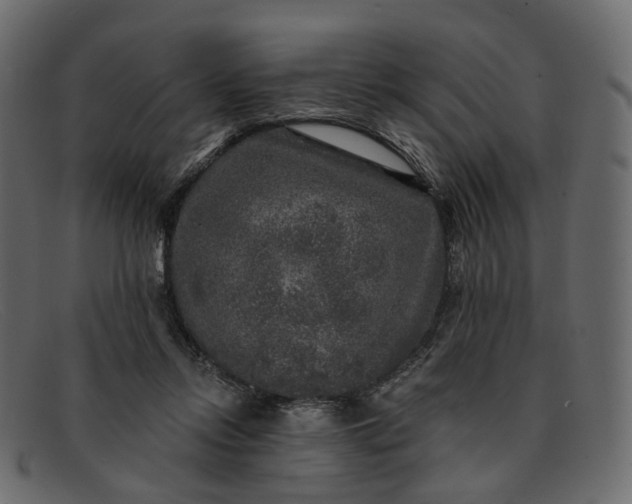 X0000091930358200709191404