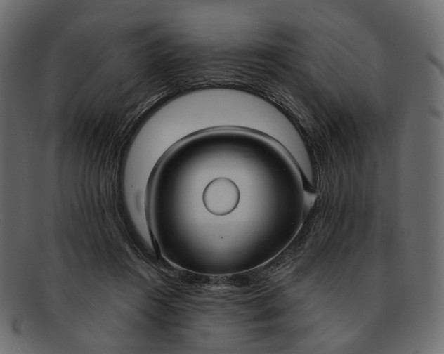 X0000091930360200709191404