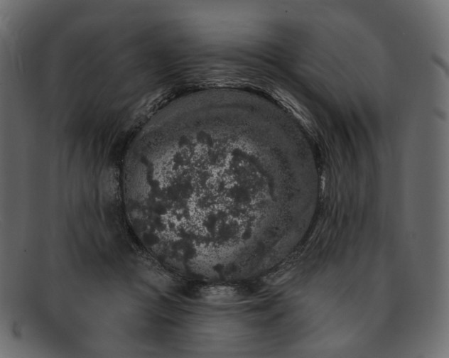 X0000091930361200709191404
