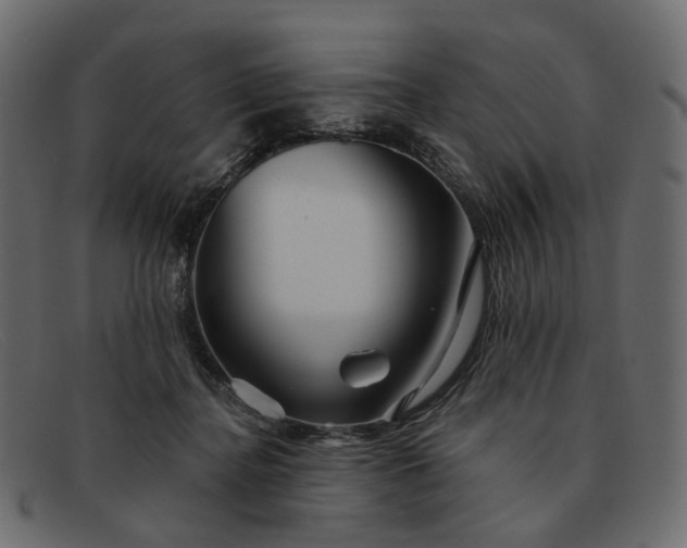 X0000091930364200709191405