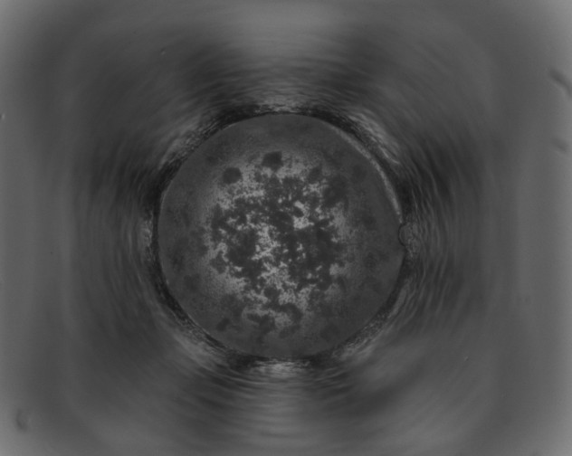 X0000091930365200709191405