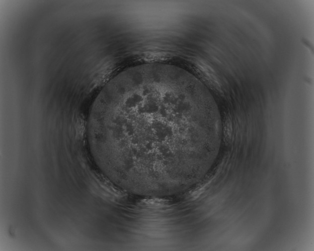 X0000091930367200709191405