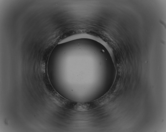 X0000091930368200709191405