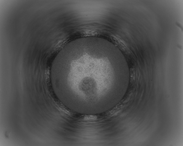 X0000091930369200709191405