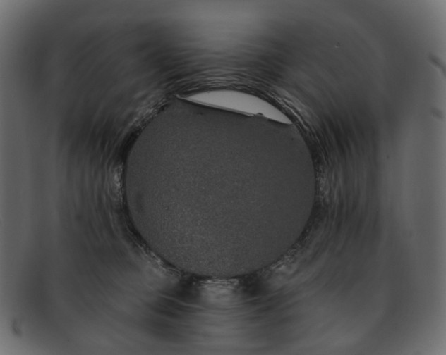 X0000091930373200709191405