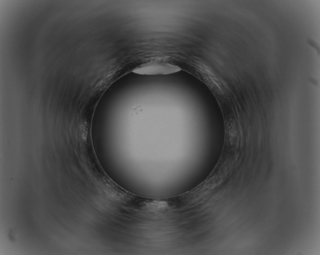 X0000091930374200709191405