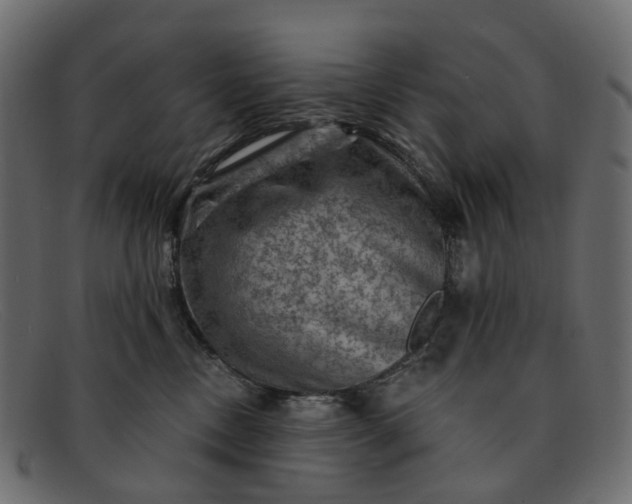 X0000091930378200709191405