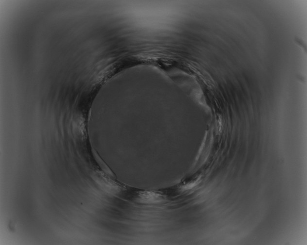X0000091930380200709191405