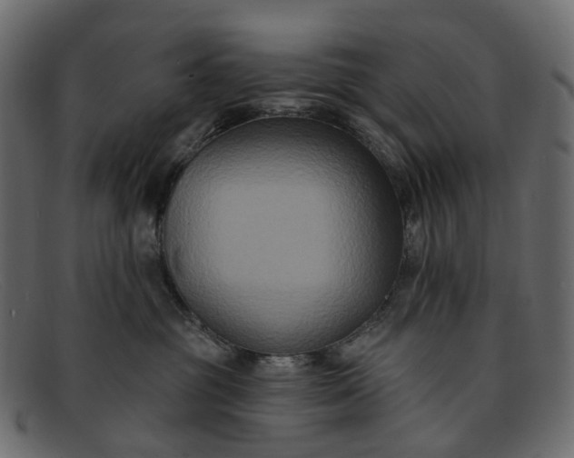 X0000091930381200709191405