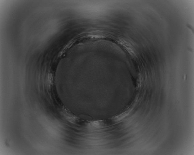 X0000091930382200709191405