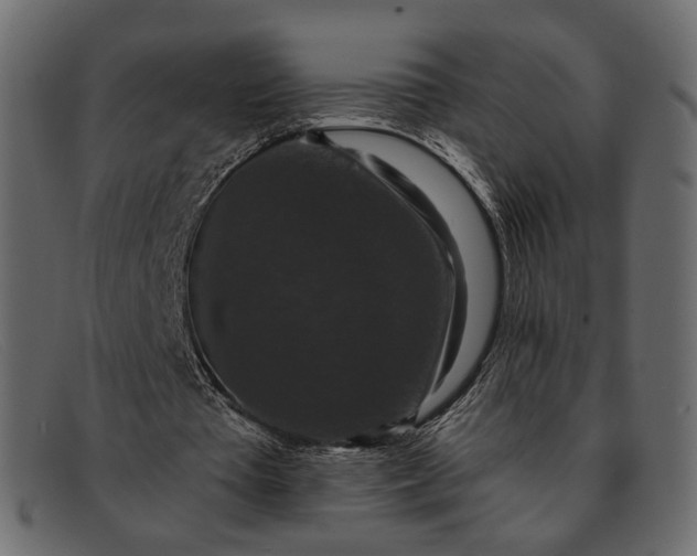 X0000091930385200709191404