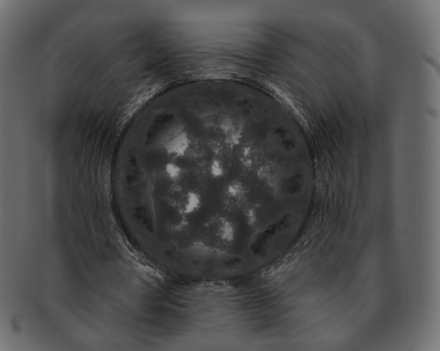 X0000091930386200709191404