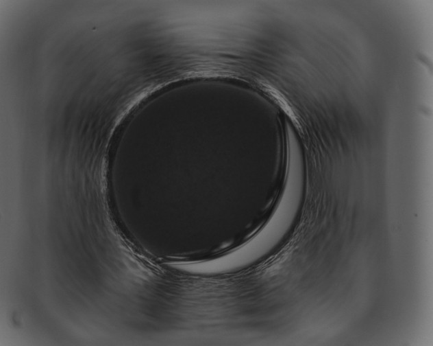 X0000091930387200709191404
