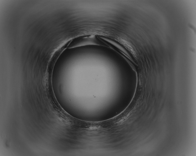 X0000091930388200709191404