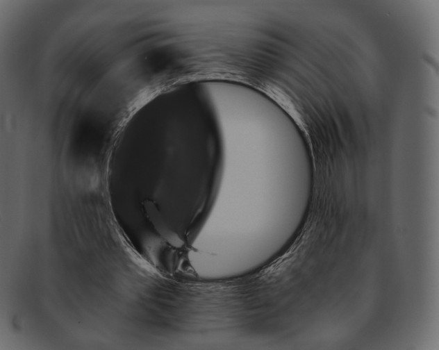X0000091930389200709191404