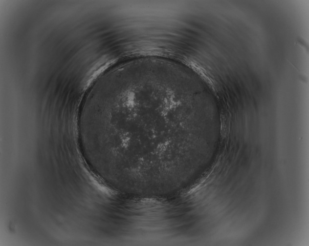 X0000091930390200709191404