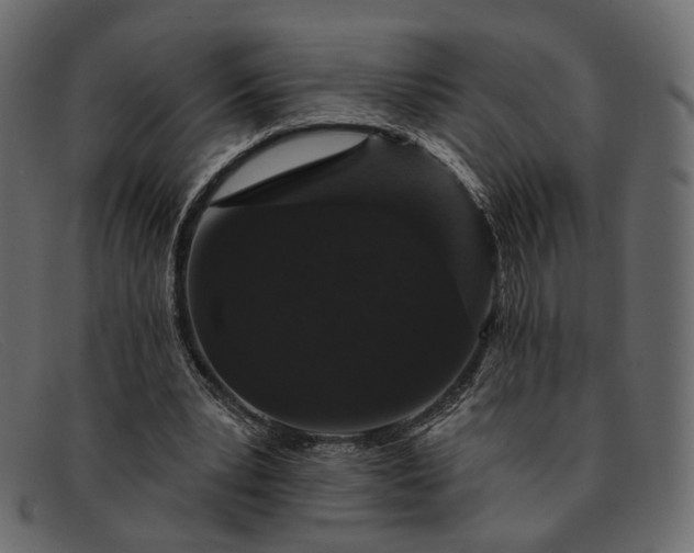 X0000091930391200709191404