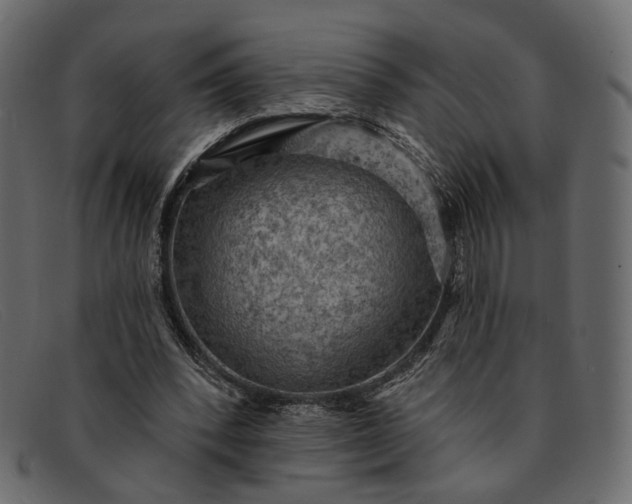 X0000091930392200709191404