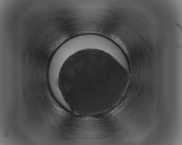 X0000091930393200709191404