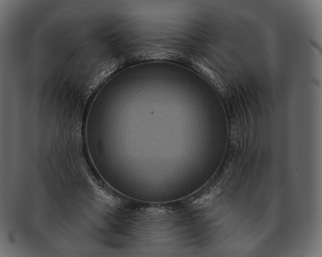 X0000091930394200709191404