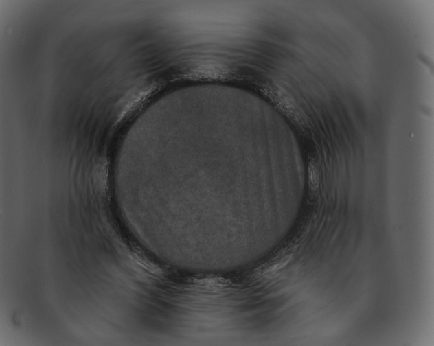 X0000091930396200709191404