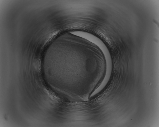 X0000091930400200709191404