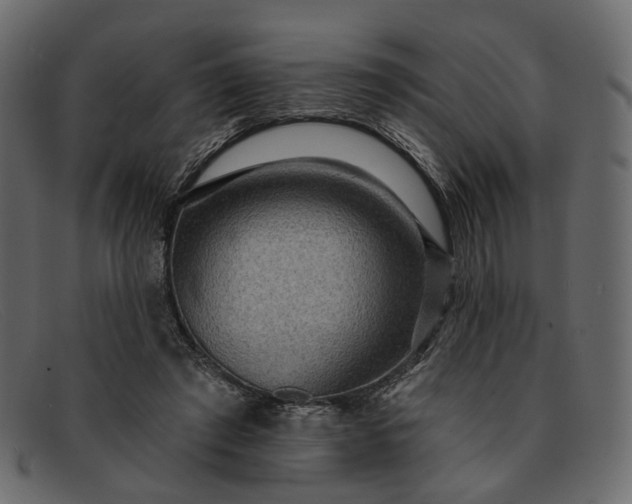 X0000091930401200709191404