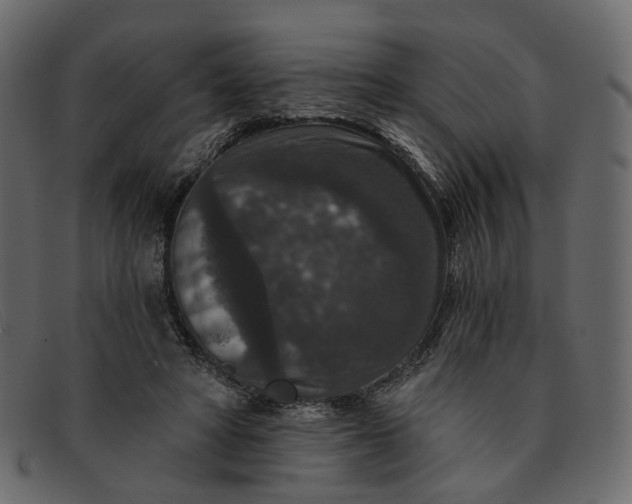 X0000091930402200709191404