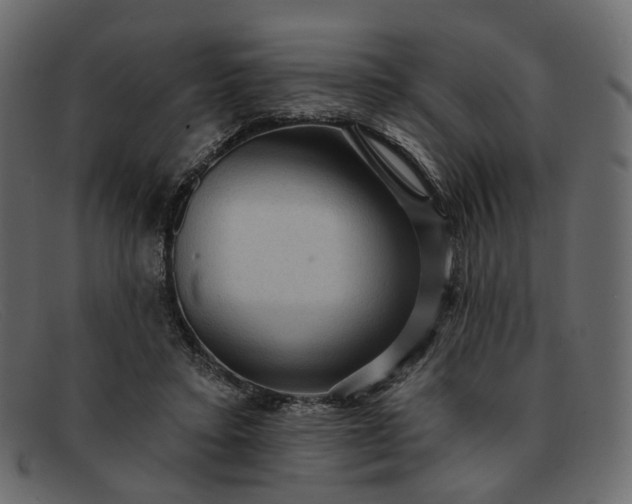 X0000091930403200709191404