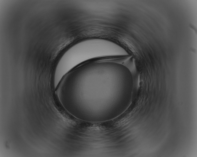 X0000091930404200709191404
