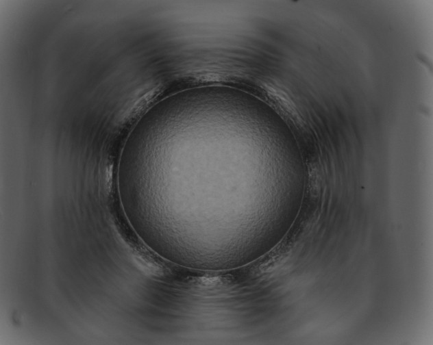 X0000091930406200709191404