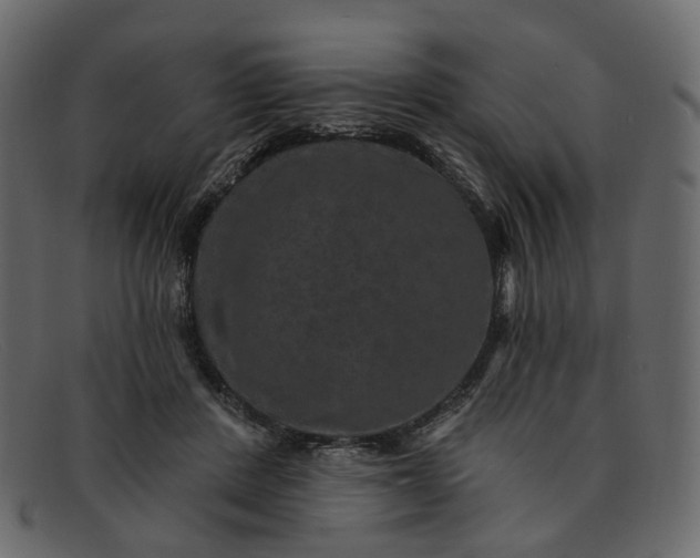 X0000091930408200709191404