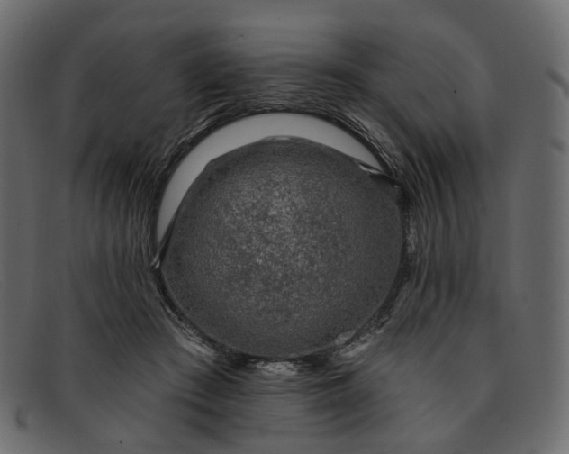 X0000091930409200709191404