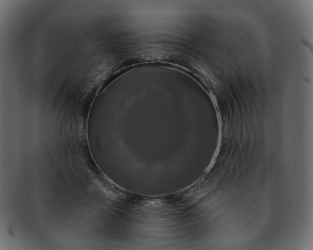 X0000091930411200709191404
