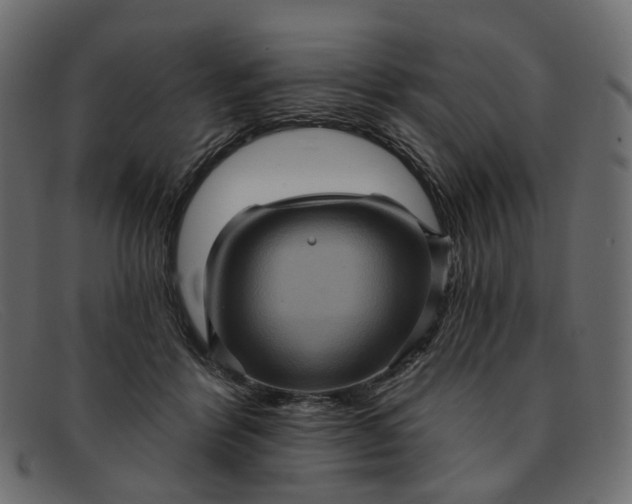 X0000091930412200709191404