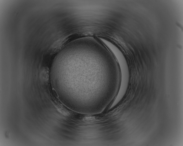 X0000091930413200709191404